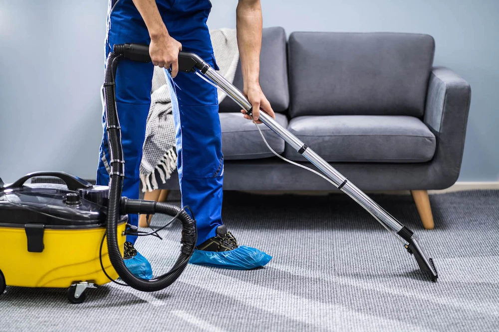 Everything You Need to Know About Carpet Cleaning Machines