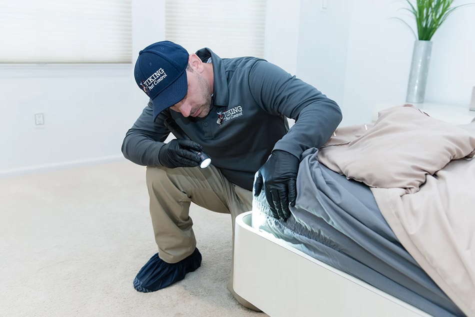 Navigating Legal Aspects of Bed Bug Infestations