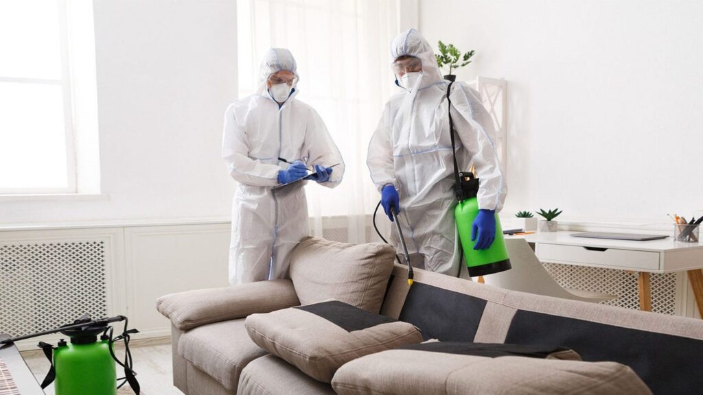 How Often Should You Schedule Commercial Pest Control Services for Your Restaurant? 5 Factors to Consider