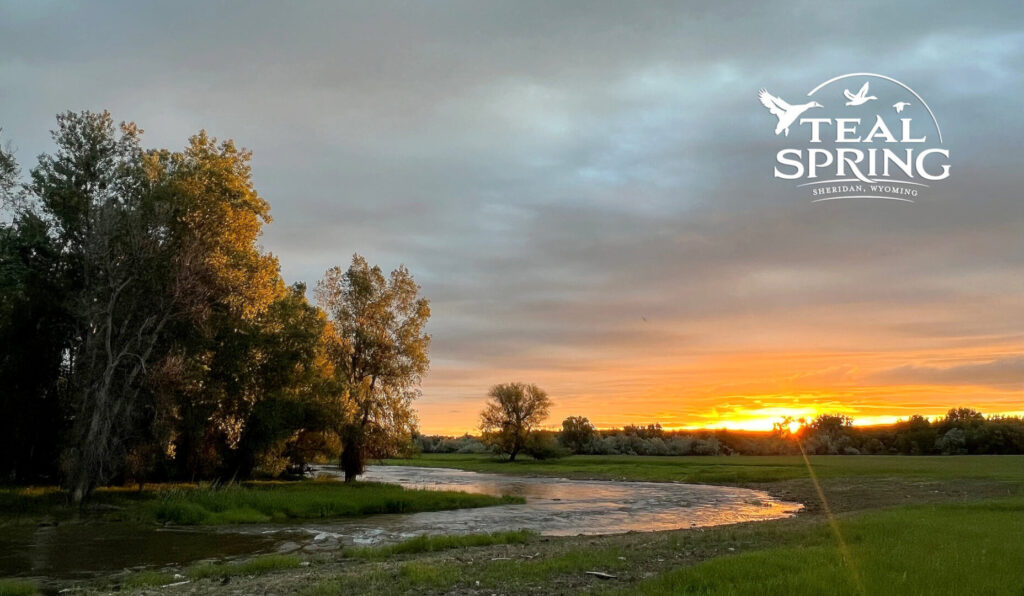 What Makes Teal Spring in Sheridan a Great Place to Live?