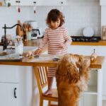 Refurbishing Your Home for Child and Pet Compatibility