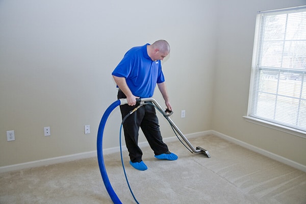 Expert Carpet Cleaning