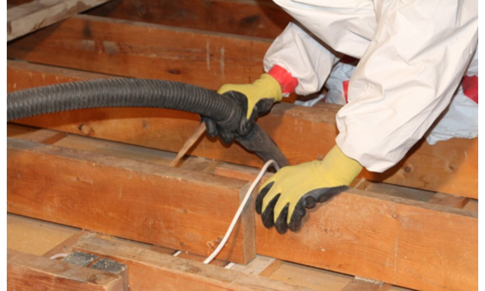 How Ignoring Attic Mold Can Contribute to Larger Damage?