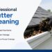Professional Gutter Cleaning